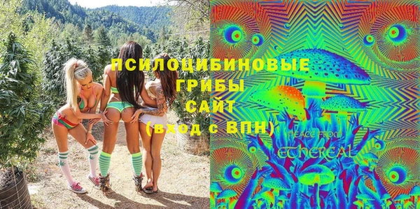 эйфоретик Алексин