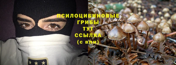 экстази Алзамай